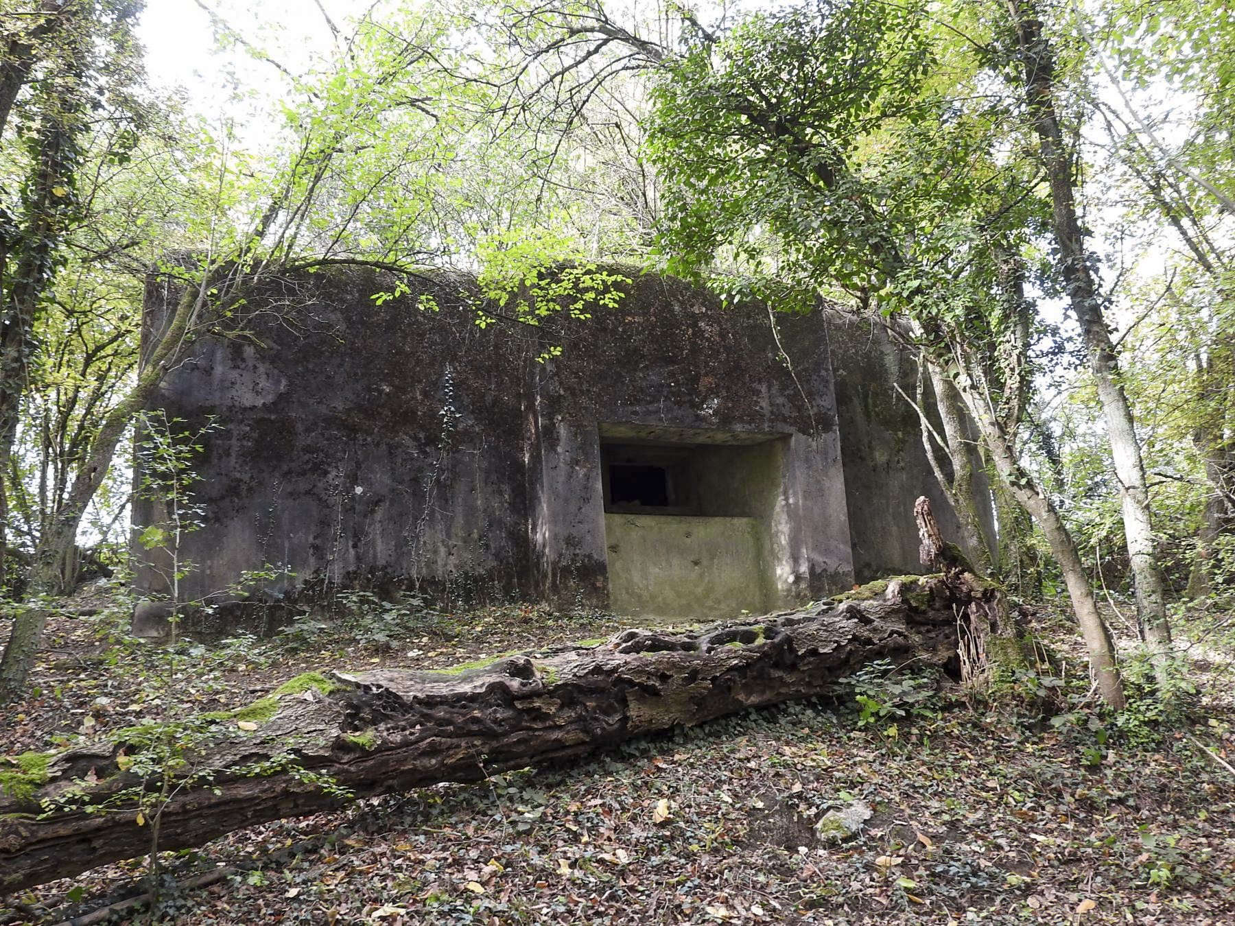 Ligne Maginot - AB8 - (Blockhaus pour canon) - La façade de tir d'action frontale