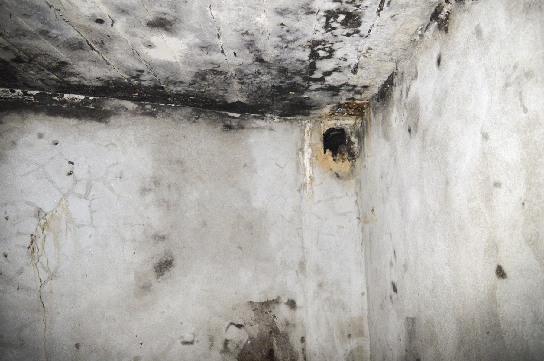 Ligne Maginot - LA BEOLE (BE) - (Ouvrage d'infanterie) - Bloc 1
Étage inférieur
Entrée du câble téléphonique? - PRASIL Michal