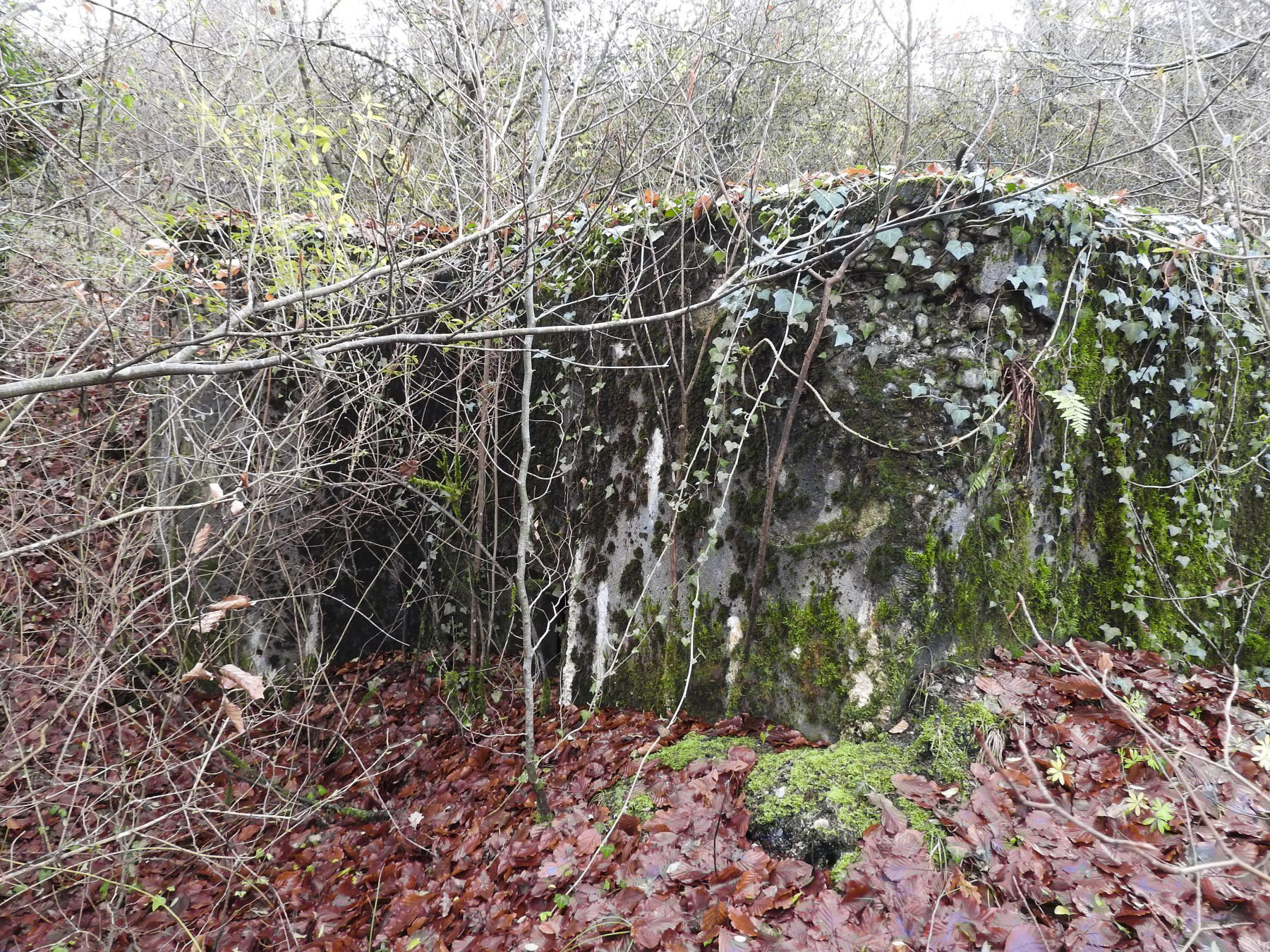 Ligne Maginot - BOIS DE KLANG NORD 3 - (Blockhaus pour arme infanterie) - Le blockhaus STG du Bois de Klang. - STENGER Mathieu