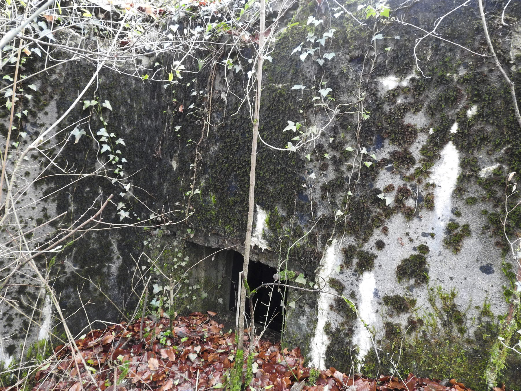 Ligne Maginot - BOIS DE KLANG NORD 3 - (Blockhaus pour arme infanterie) - La façade de tir. - STENGER Mathieu