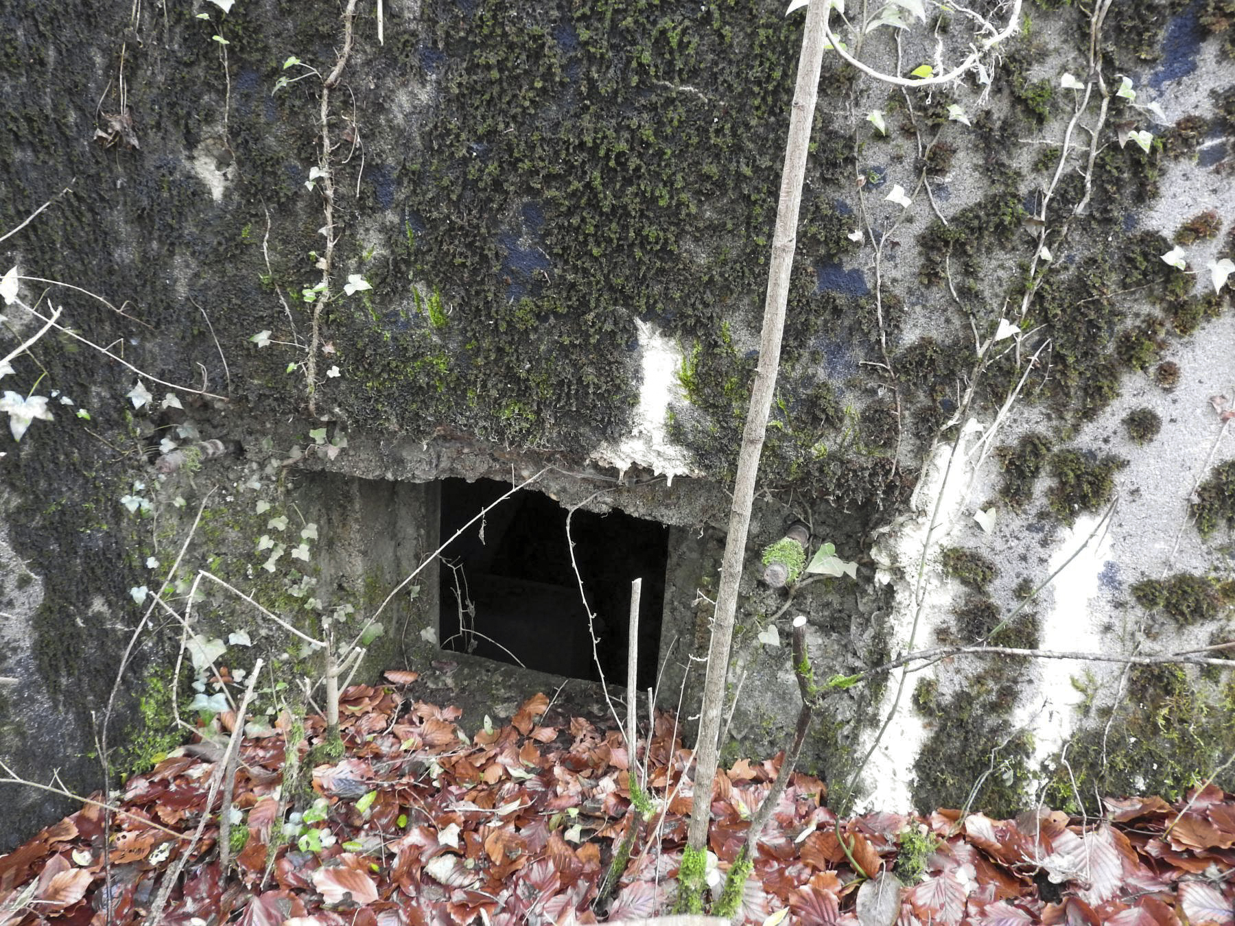 Ligne Maginot - BOIS DE KLANG NORD 3 - (Blockhaus pour arme infanterie) - La créneau pour mitrailleuse. La trémie n'est pas installé ; on distingue les boulons de fixation. - STENGER Mathieu