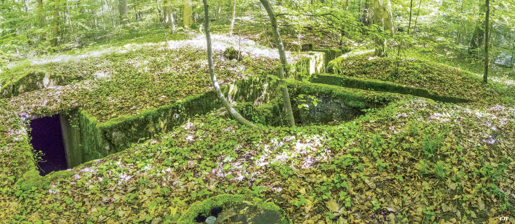Ligne Maginot - BAMBESCH OUEST (II/156° RIF) - (PC de Quartier) - Panorama des tranchées