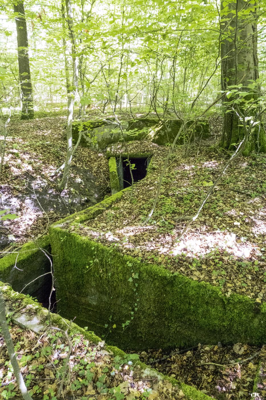 Ligne Maginot - BAMBESCH OUEST (II/156° RIF) - (PC de Quartier) - Les tranchées