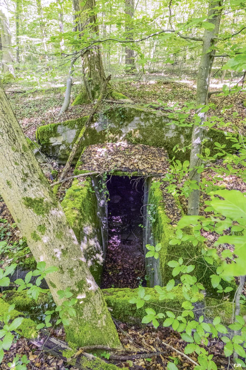 Ligne Maginot - BAMBESCH OUEST (II/156° RIF) - (PC de Quartier) - 