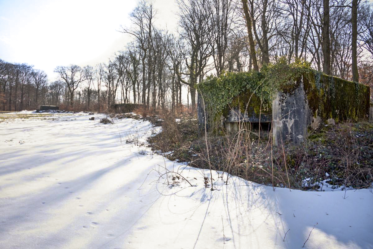 Ligne Maginot - BAMBESCH NORD 1 - (Blockhaus pour canon) - Vue générale des BAMBESCH Nord 1, 2 et 3