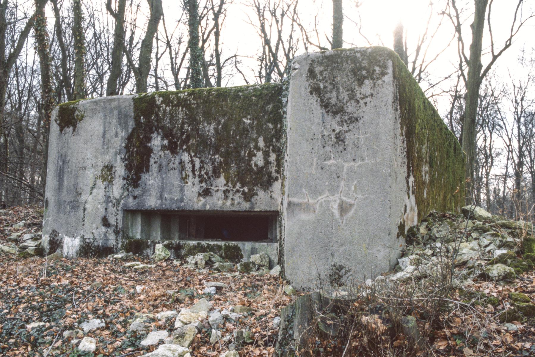 Ligne Maginot - BAMBESCH NORD 1 - (Blockhaus pour canon) -  - MANSUY Michel