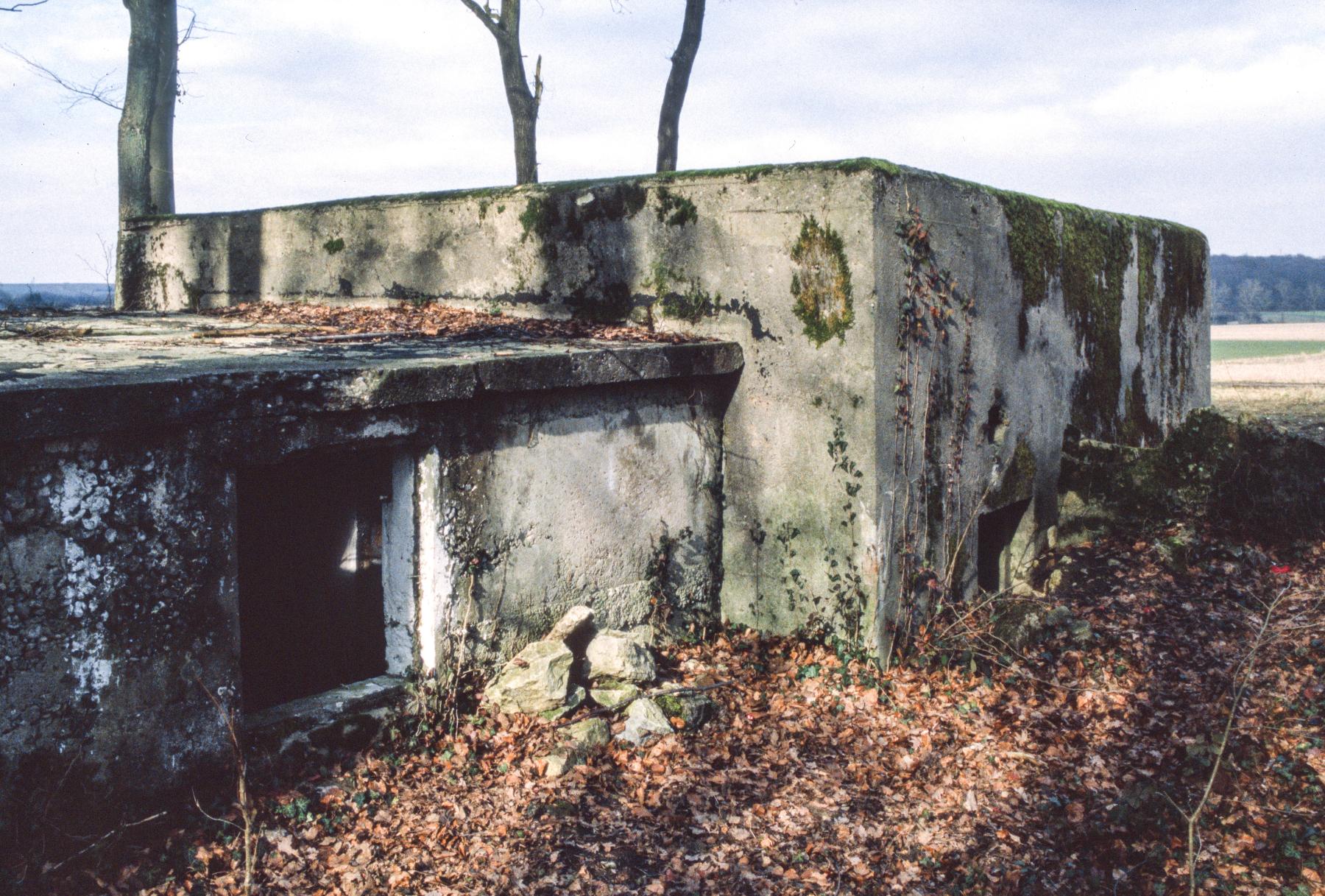 Ligne Maginot - BAMBESCH NORD 1 - (Blockhaus pour canon) -  - MANSUY Michel