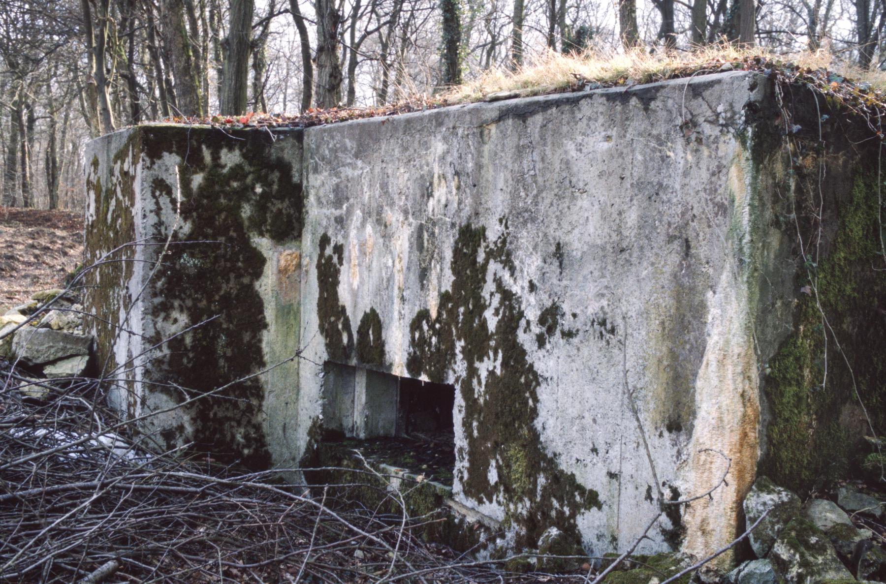 Ligne Maginot - BAMBESCH NORD 2 - (Blockhaus pour arme infanterie) -  - MANSUY Michel