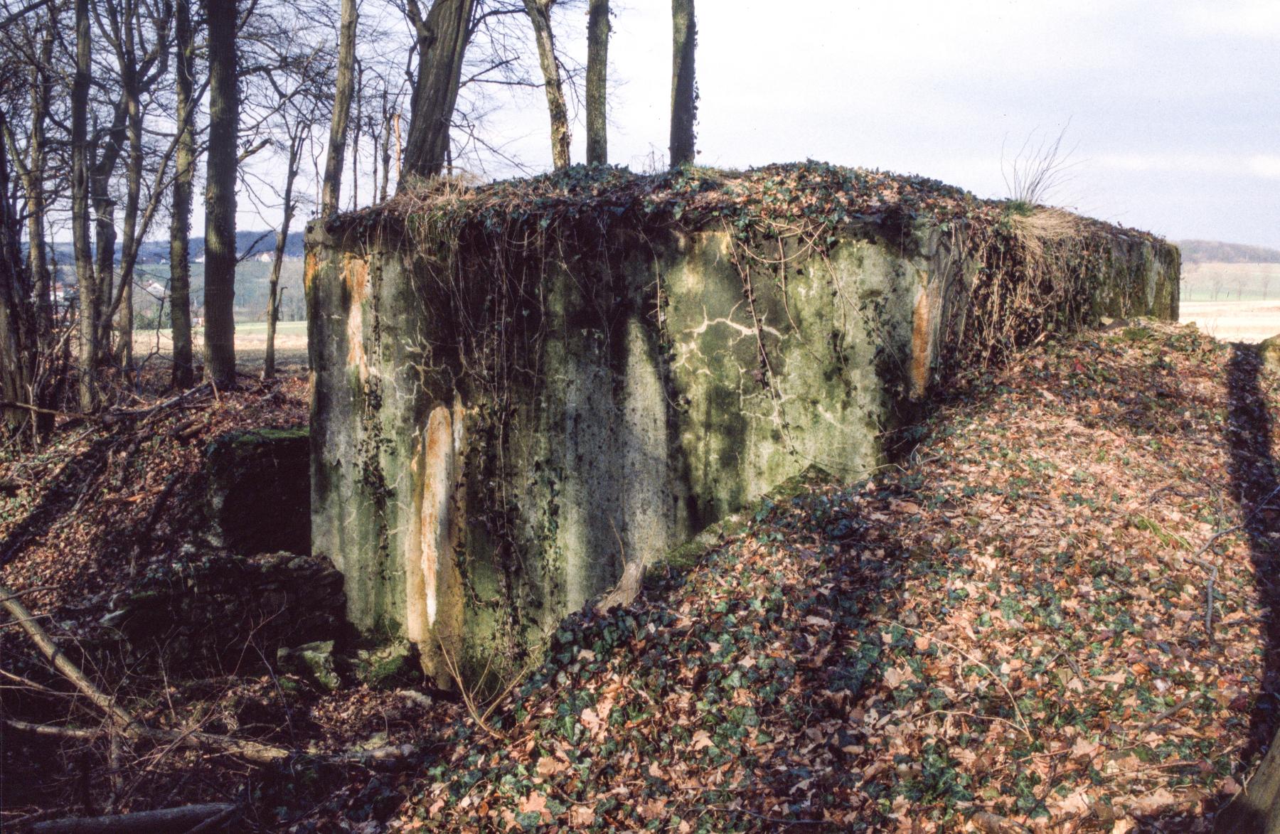 Ligne Maginot - BAMBESCH NORD 2 - (Blockhaus pour arme infanterie) -  - MANSUY Michel