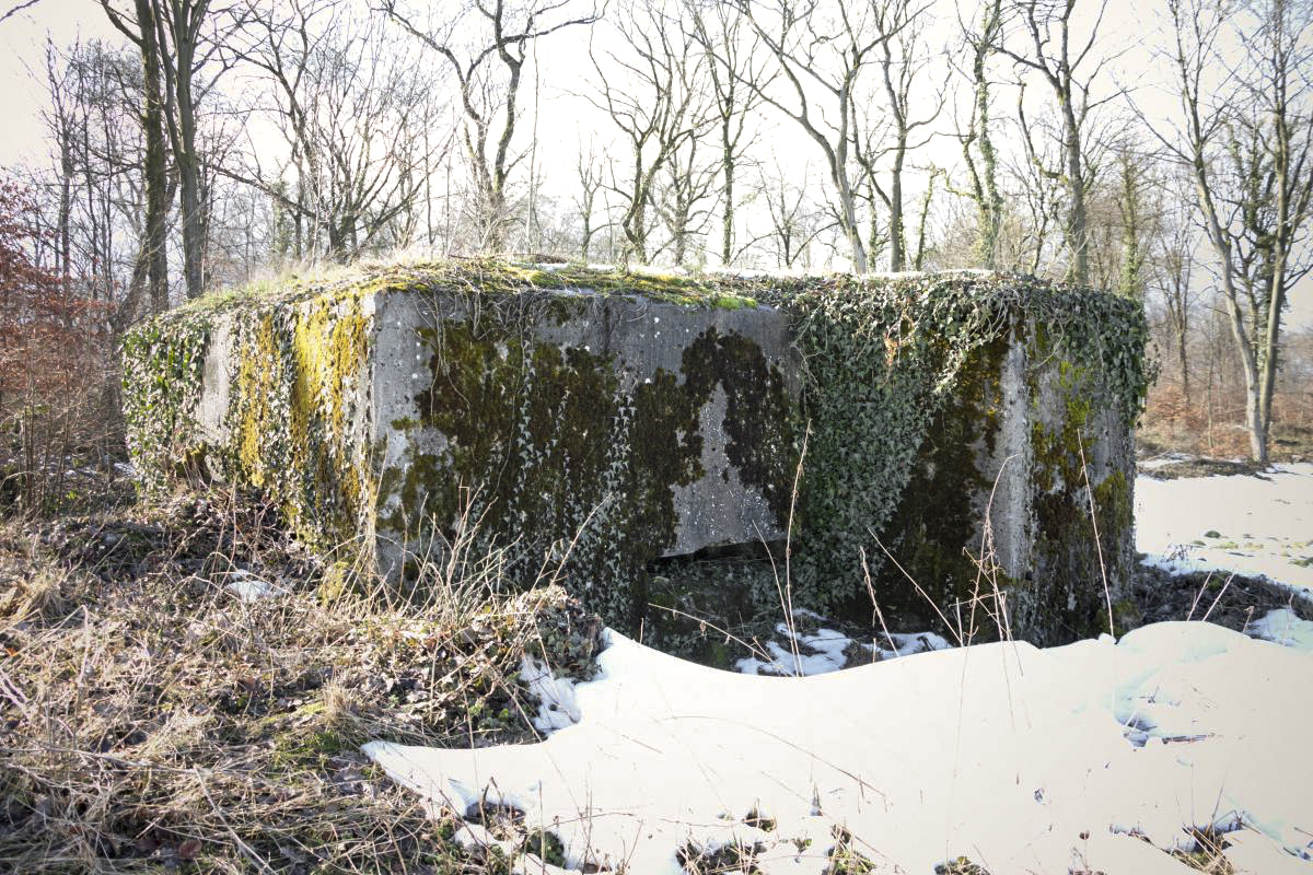 Ligne Maginot - BAMBESCH NORD 3 - (Blockhaus pour arme infanterie) - 