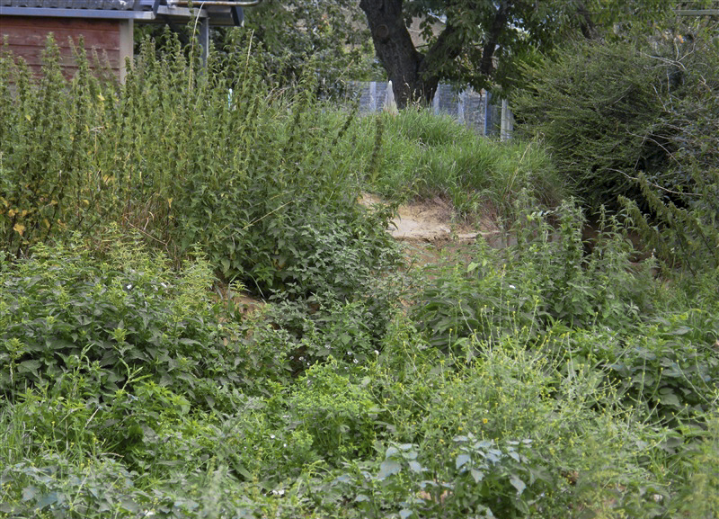 Ligne Maginot - 22A - BREVILLY SUD - (Blockhaus pour arme infanterie) - Le bloc est situé dans une propriété privée - Jean-Louis AUBLET & Sylvie MAINGUIN