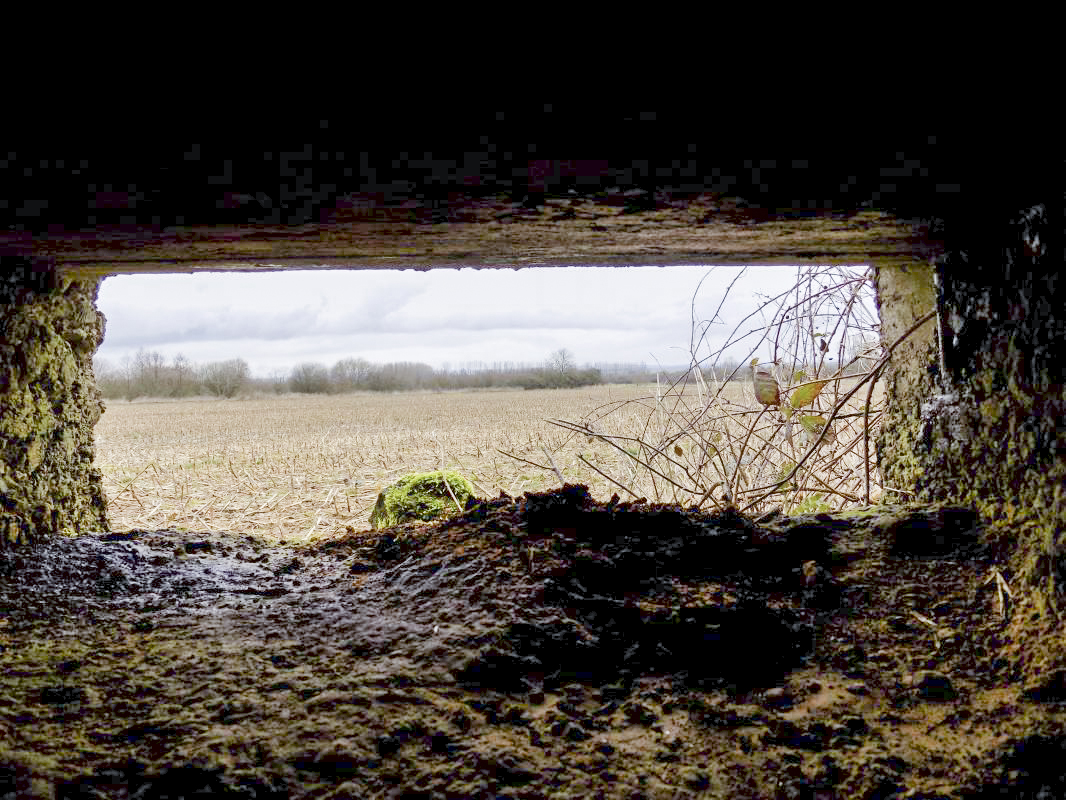 Ligne Maginot - 32B - RUISSEAU DE REVIGNY EST - (Blockhaus pour arme infanterie) - Vue vers le nord-ouest du créneau Hotchkiss - R Tucker