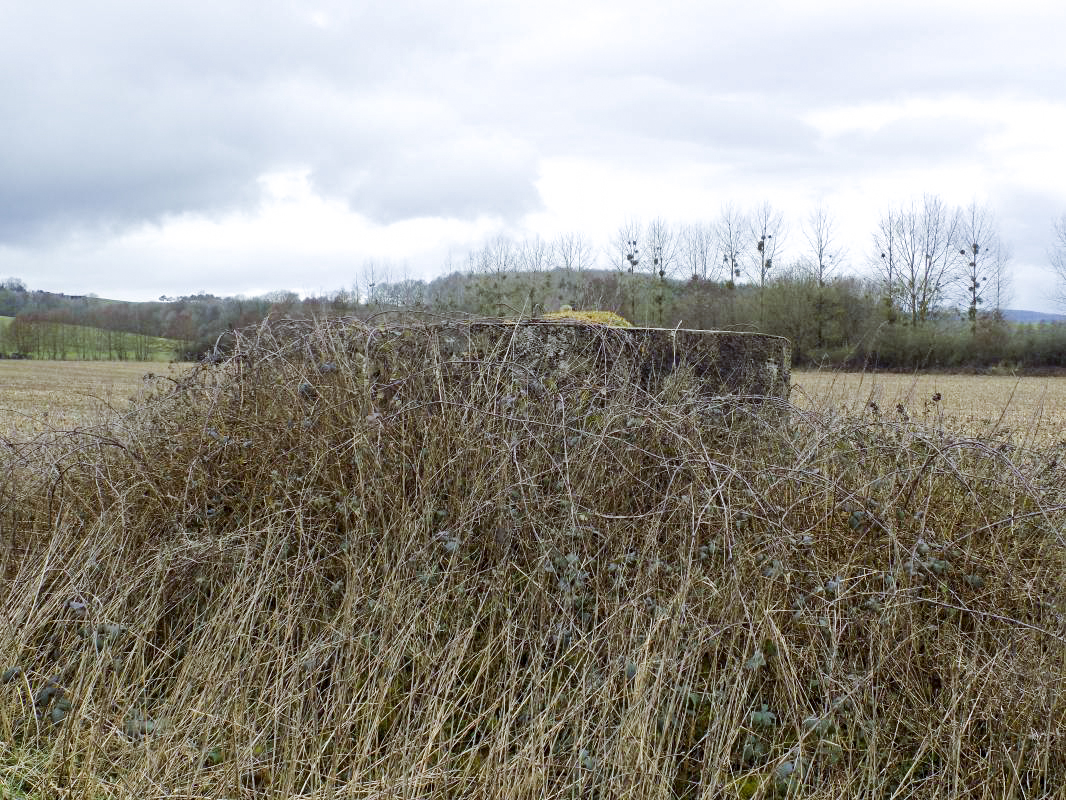 Ligne Maginot - 32B - RUISSEAU DE REVIGNY EST - (Blockhaus pour arme infanterie) - Pris du sud-est - R Tucker