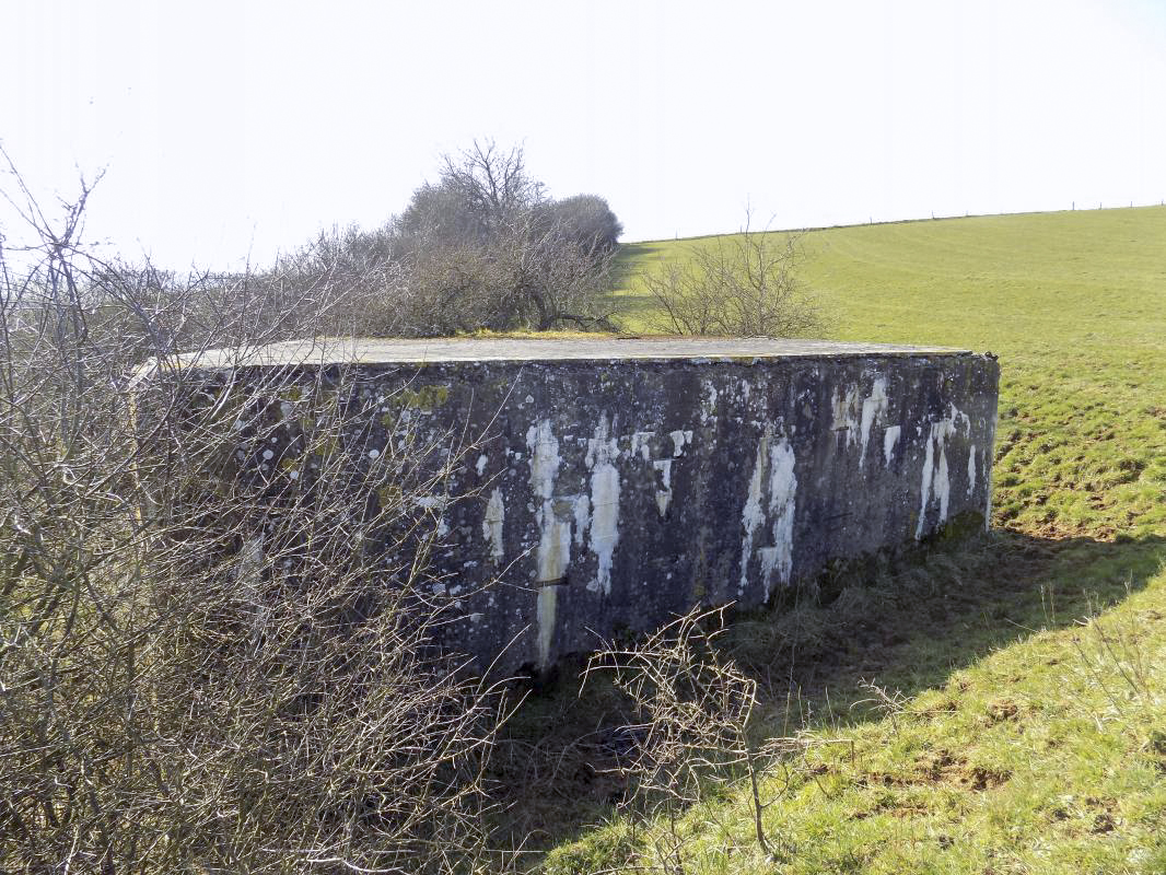 Ligne Maginot - EUILLY SUD - (Blockhaus pour canon) - Face gauche