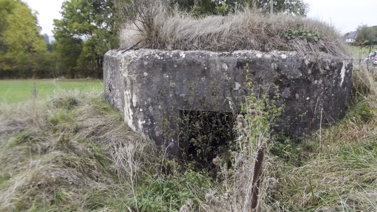 Ligne Maginot - 83B - BOIS DORVILLE OUEST - (Blockhaus pour canon) - Vue arrière du blockhaus et accès pour canon de 25 mm - David HARMAND