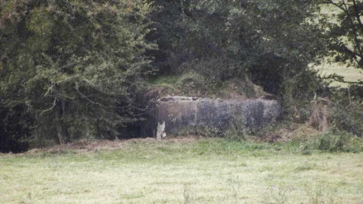 Ligne Maginot - 84 - BEL AIR - (Blockhaus pour canon) - 