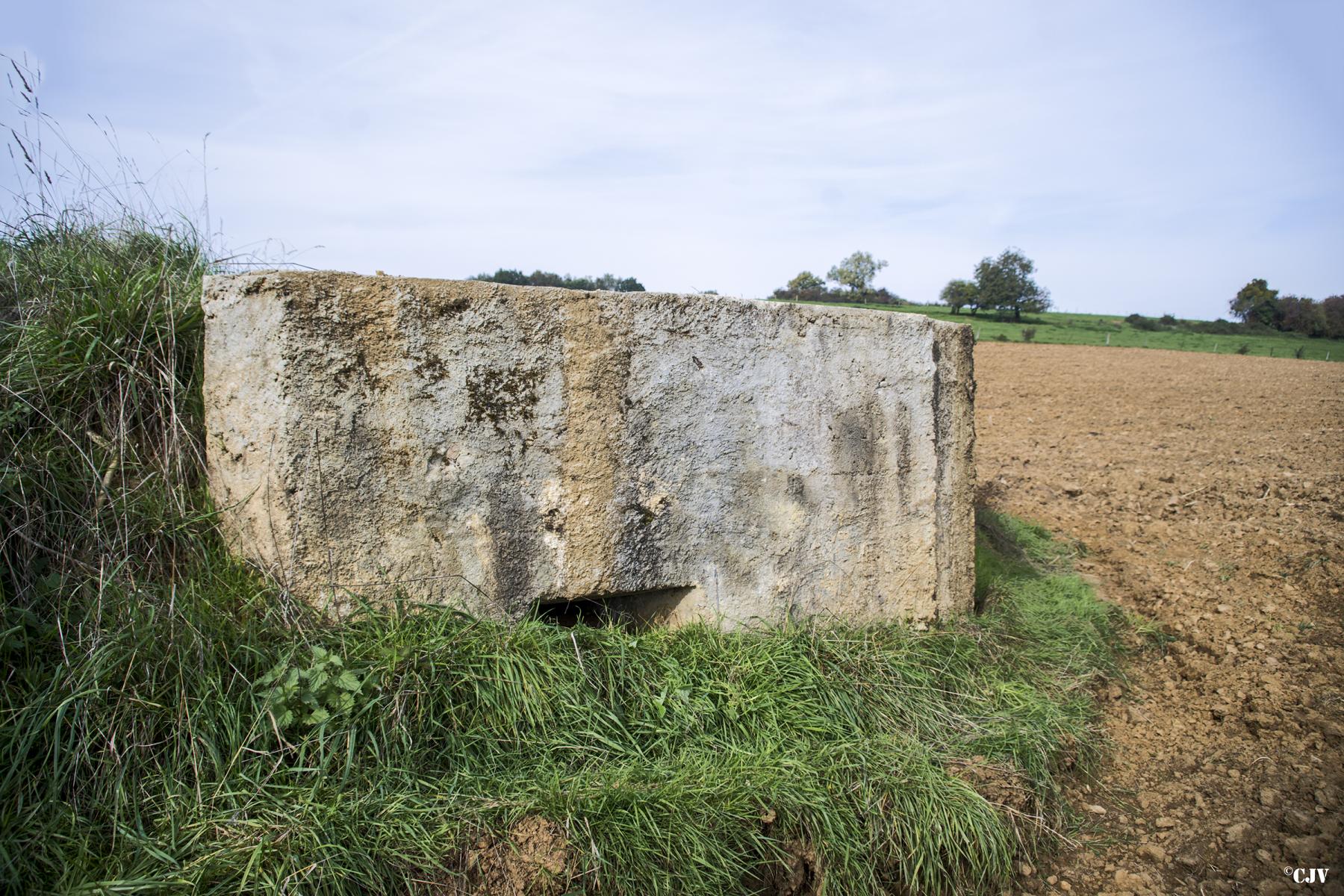 Ligne Maginot - V - LES LIGNIERES - (Blockhaus pour canon) - 