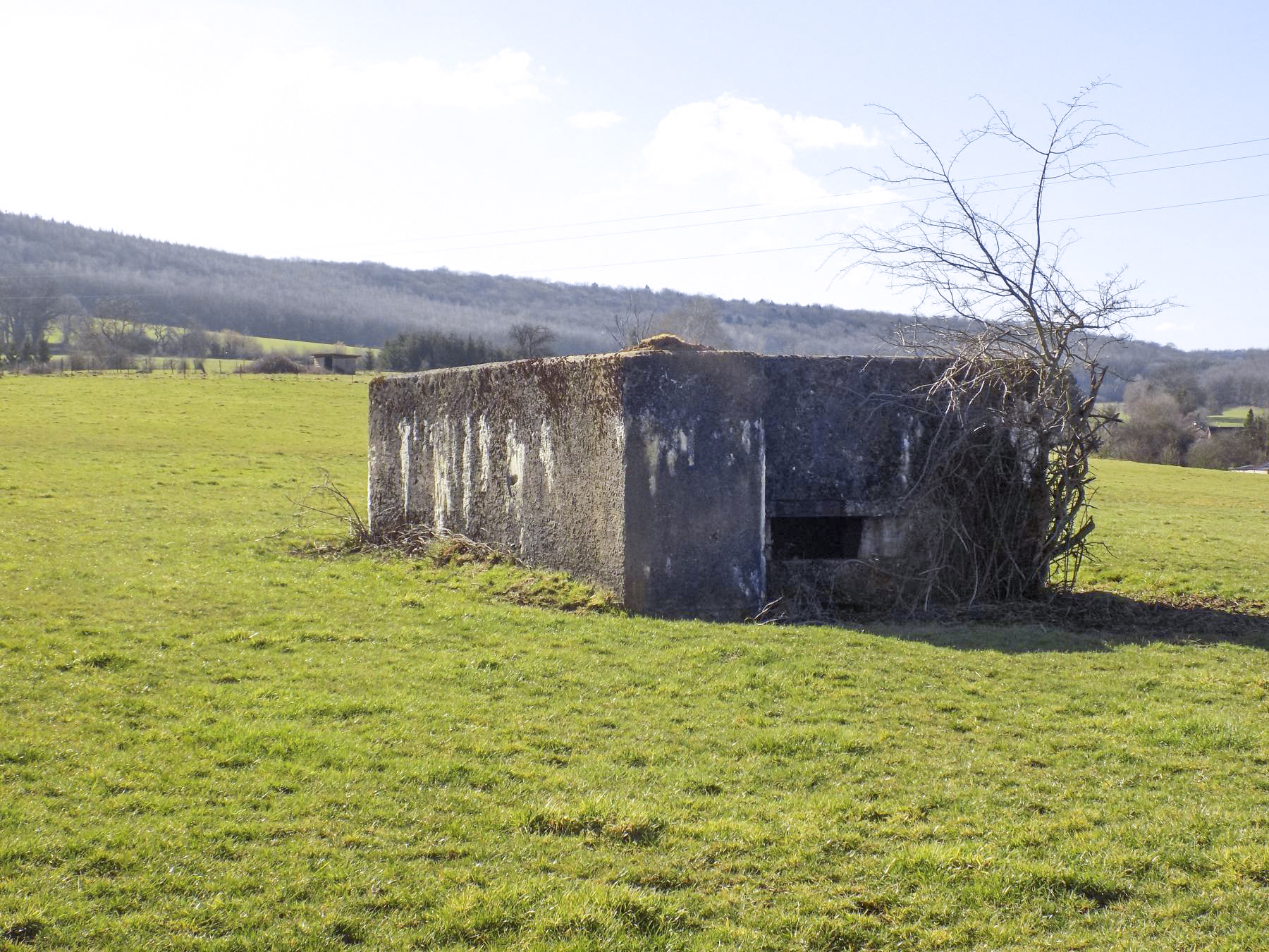 Ligne Maginot - MALANDRY - (Blockhaus pour canon) - Face frontale