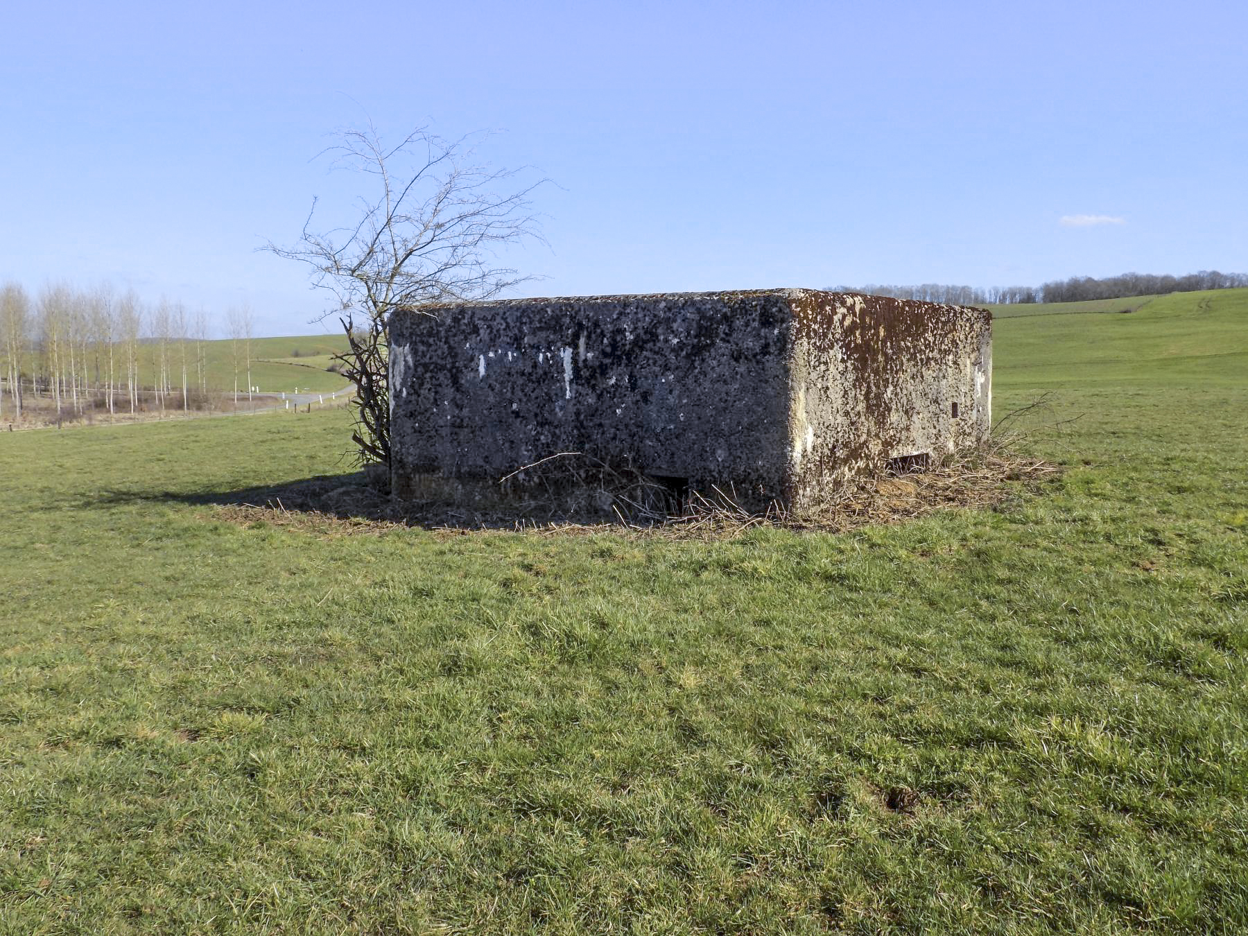 Ligne Maginot - MALANDRY - (Blockhaus pour canon) - Face gauche et l'arrière