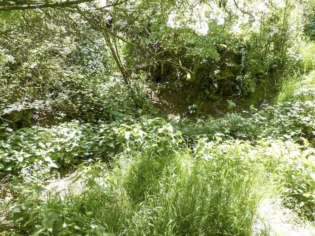 Ligne Maginot - U - BOIS SELLIER - (Blockhaus pour canon) - Une vue d'ensemble du site  - David HARMAND