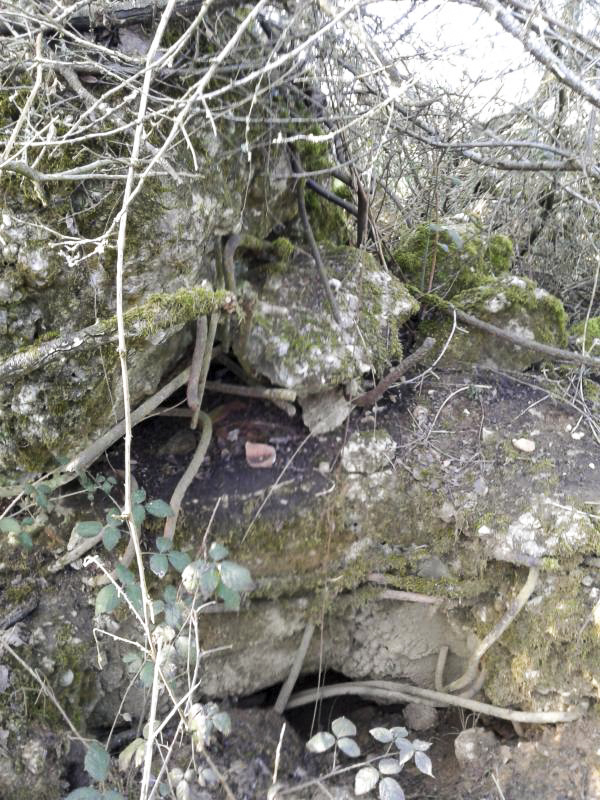 Ligne Maginot - U - BOIS SELLIER - (Blockhaus pour canon) - Fragment subsistant (à gauche de l'entrée supposée). - F-THOMASSIN