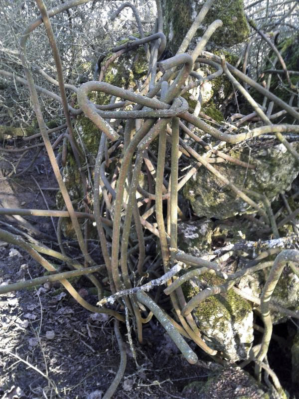 Ligne Maginot - U - BOIS SELLIER - (Blockhaus pour canon) - Enchevêtrement de fers à béton (à gauche de l'entrée supposée). - F-THOMASSIN