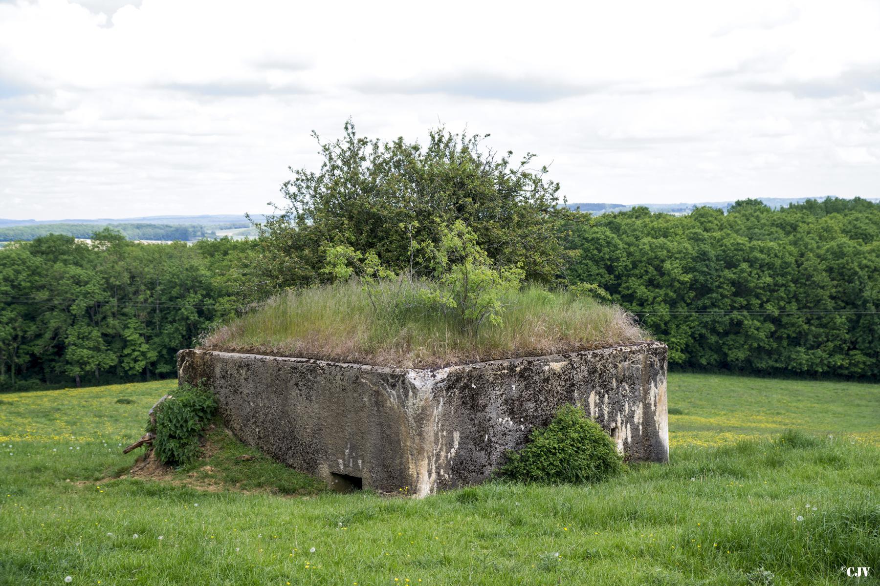 Ligne Maginot - CROIX DU SOLDAT - (Blockhaus pour canon) - 