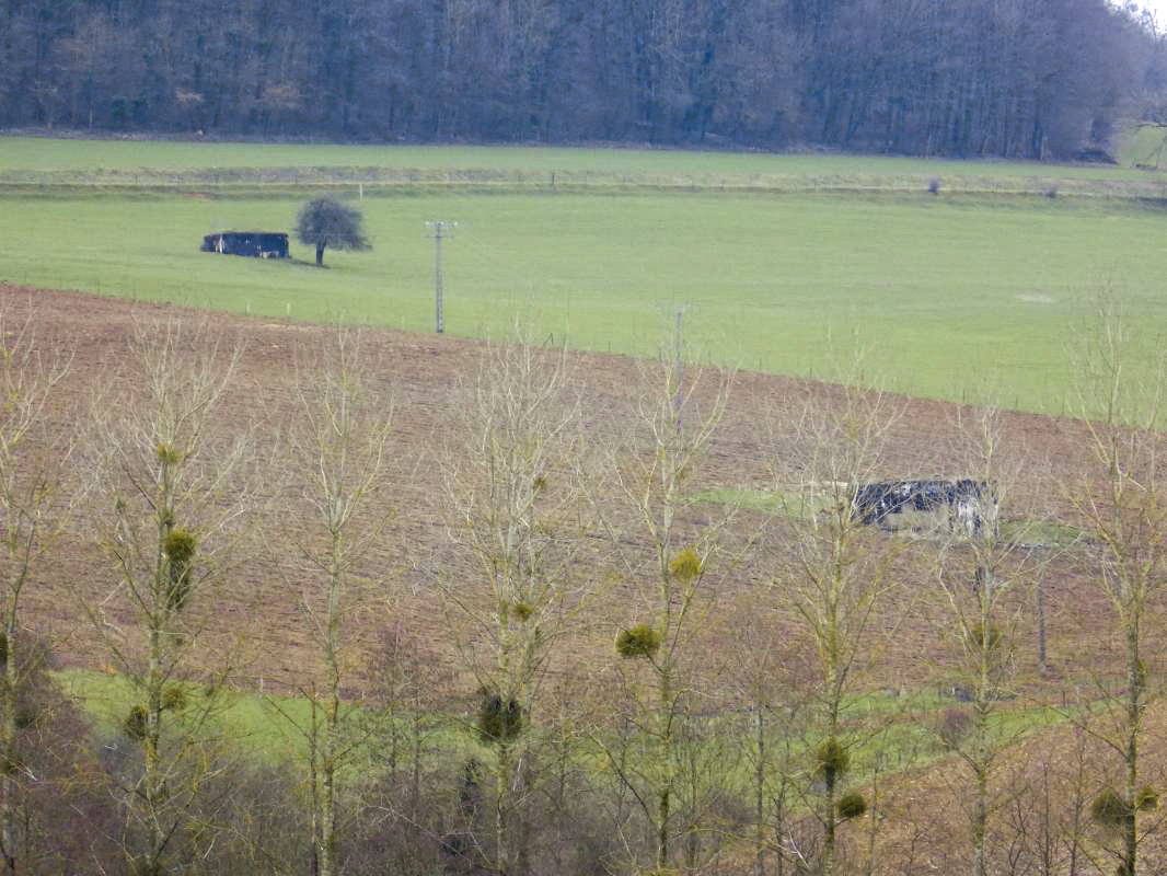 Ligne Maginot - A105 - SAILLY - (Blockhaus lourd type STG / STG-FCR - Simple) - Le blockhaus du Croix du Soldat à gauche et A105 à droite, pris de l'est