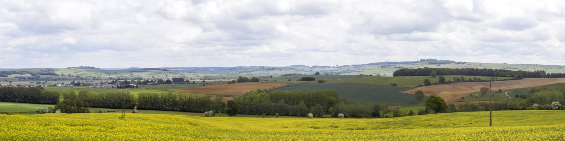 Ligne Maginot - 15A - LA VIGNETTE SUD - (Blockhaus pour arme infanterie) - Vue panoramique du nord-est, par La Ferté vers St. Walfroy
