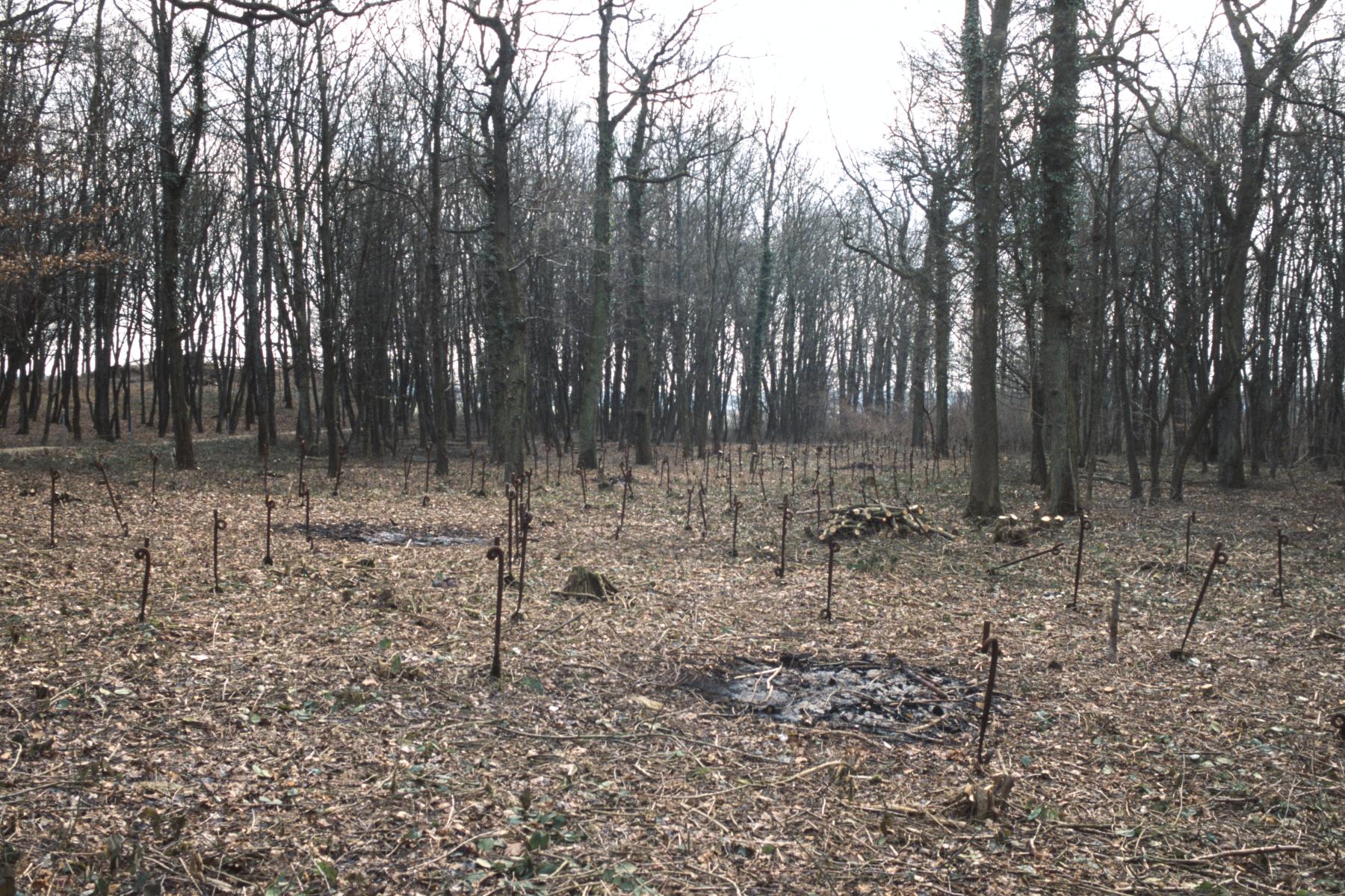 Ligne Maginot - BAMBESCH - A35 - (Ouvrage d'infanterie) - Réseau de barbelés devant bloc 3 - MANSUY Michel
