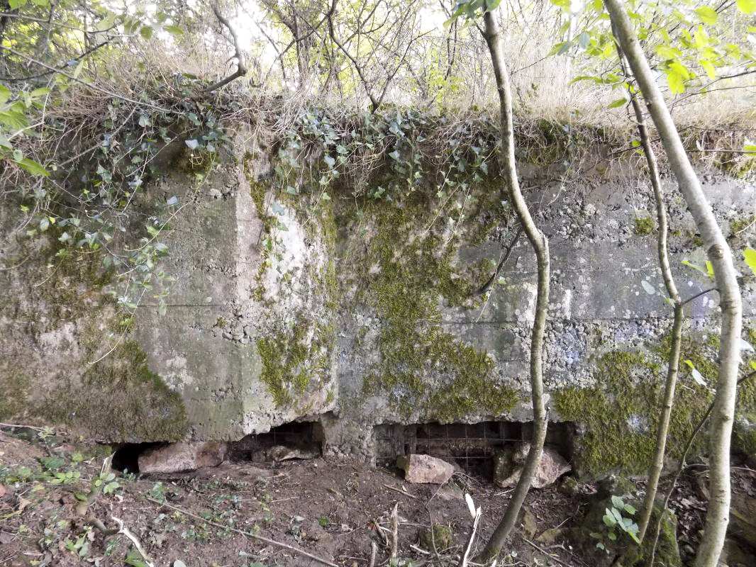 Ligne Maginot - 68BIS - LES BRUYERES - (Blockhaus pour canon) - Face frontale, (direction nord)