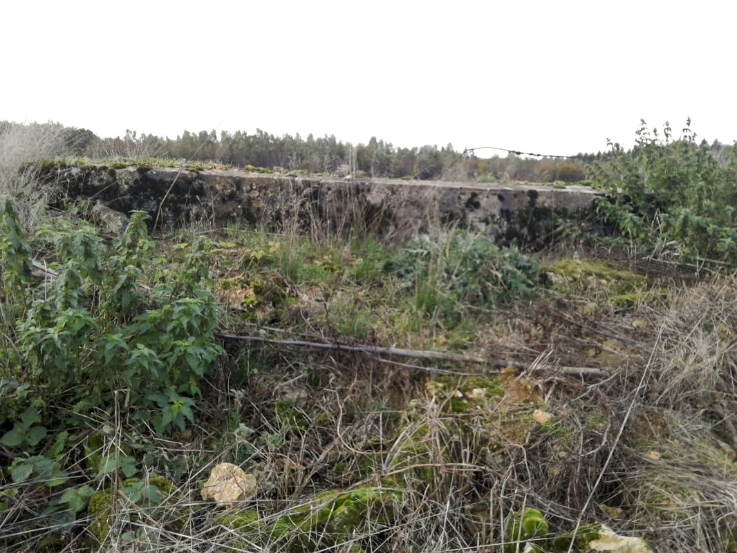 Ligne Maginot - 64 - DEVANT LE BOIS - (Blockhaus pour arme infanterie) - Vue extérieure, prise du côté des deux créneaux supposés