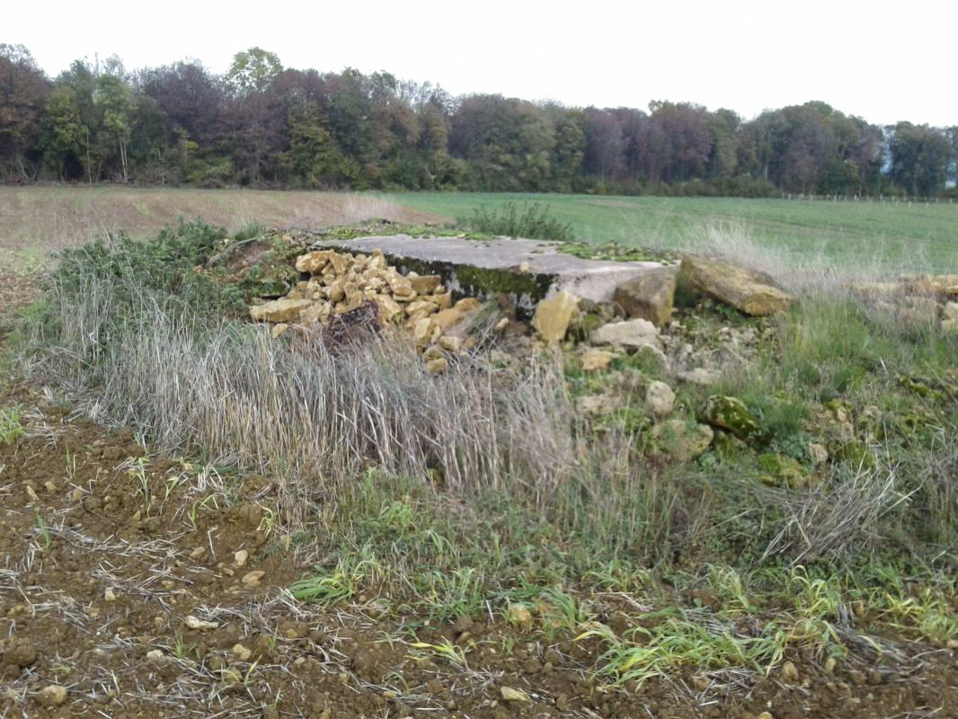 Ligne Maginot - 64 - DEVANT LE BOIS - (Blockhaus pour arme infanterie) - Vue générale du bloc, isolé en plein champ.