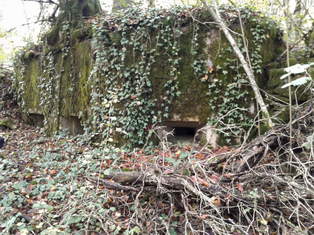 Ligne Maginot - 64BIS - BOIS LE SART SUD - (Blockhaus pour arme infanterie) - Vue extérieure des trois créneaux.