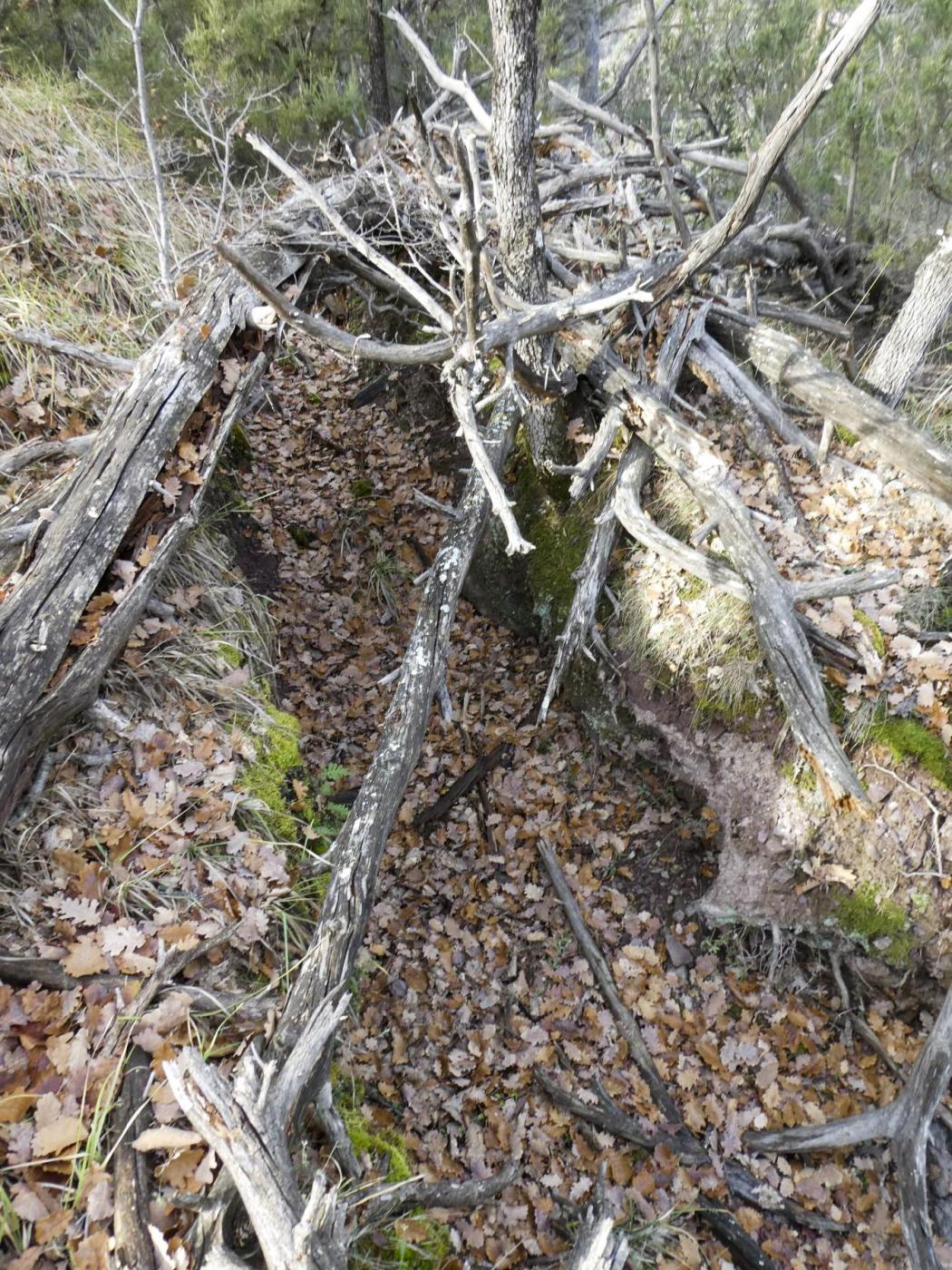 Ligne Maginot - O42 - LA COLETTA NORD - (Casemate d'infanterie - Simple) - Environnement
Tranchée observatoire sur le sommet de la colline. - ELLENA Daniel - CUNY Philippe