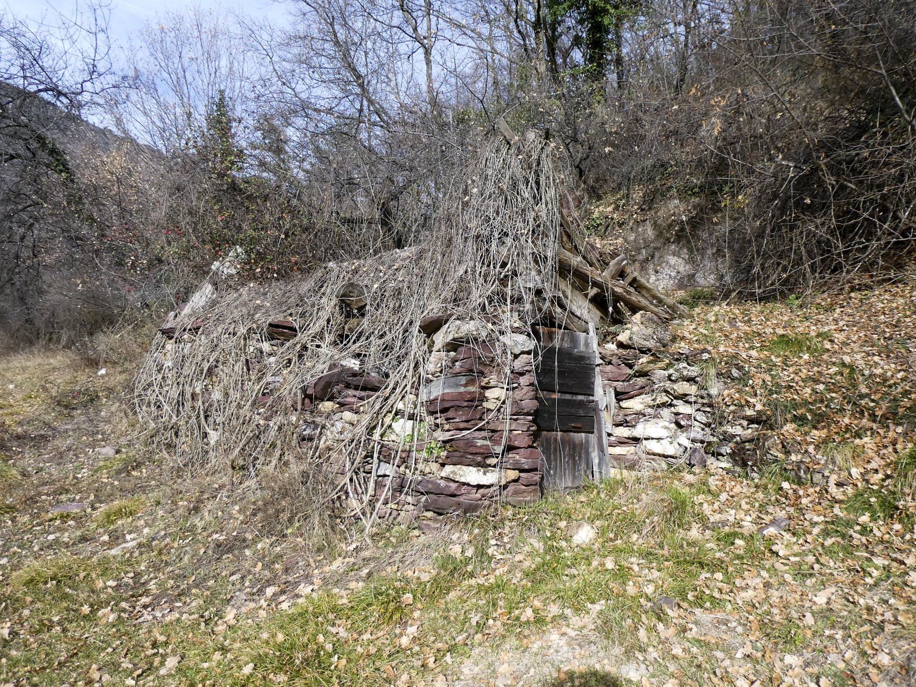 Ligne Maginot - O42 - LA COLETTA NORD - (Casemate d'infanterie - Simple) - Environnement
Abri - ELLENA Daniel - CUNY Philippe