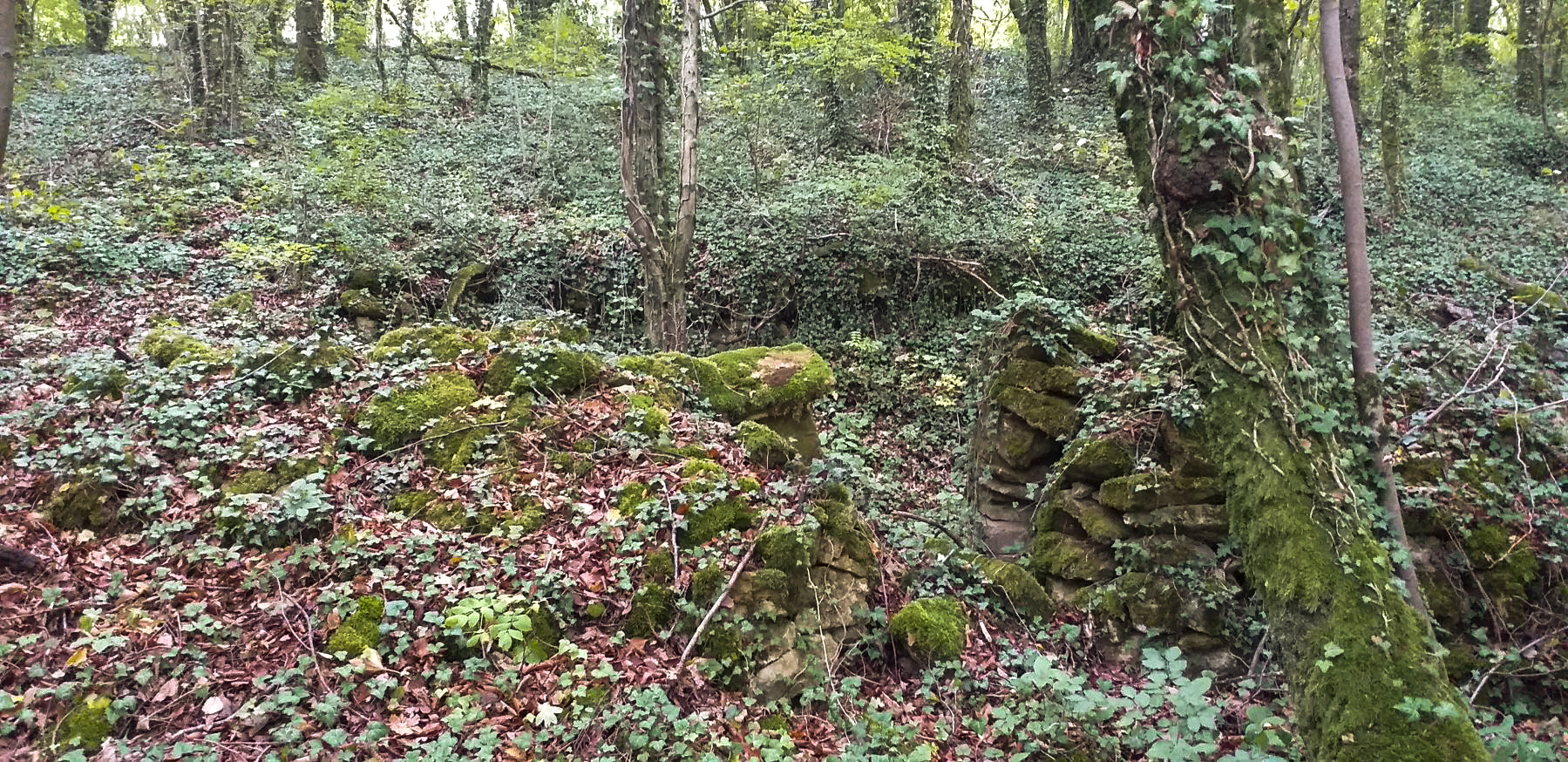 Ligne Maginot - HAUT DE VILLERS - (PC) - Abri ruiné