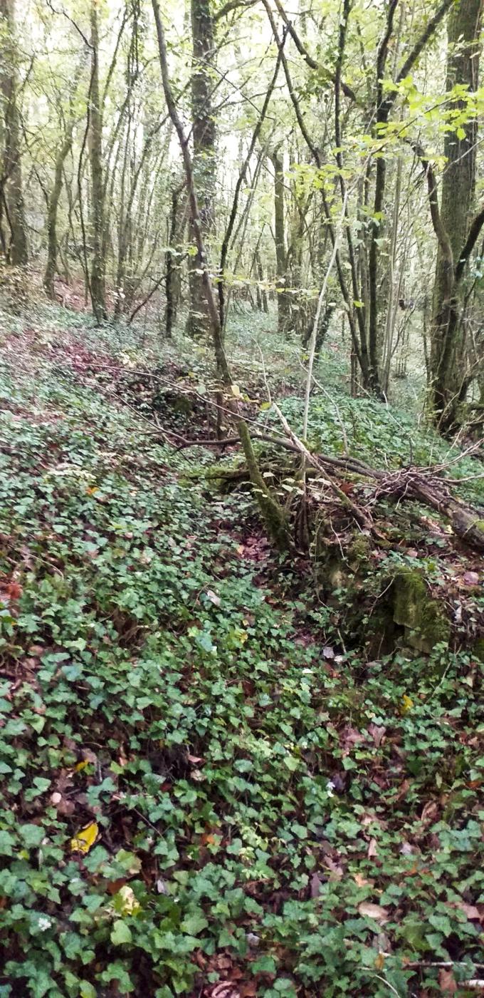 Ligne Maginot - HAUT DE VILLERS - (PC) - Tranchée