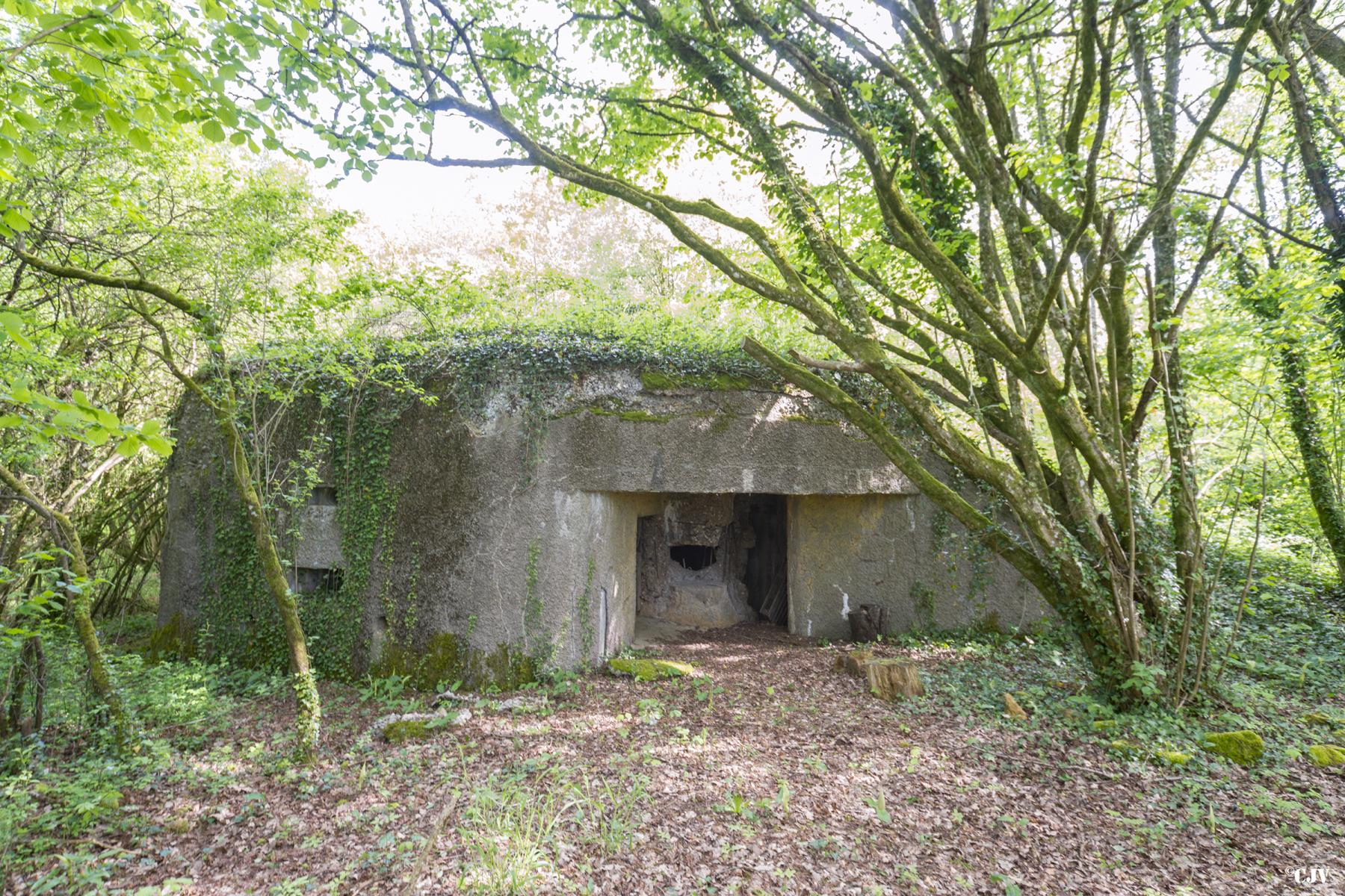 Ligne Maginot - 129 - L'EPINETTE - (Blockhaus pour canon) - 