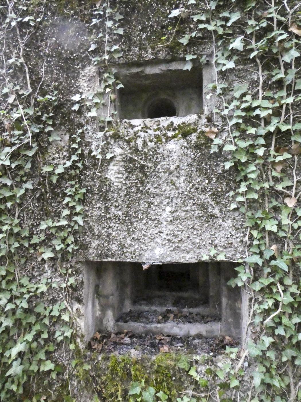 Ligne Maginot - 129 - L'EPINETTE - (Blockhaus pour canon) -  - ELLENA - CUNY
