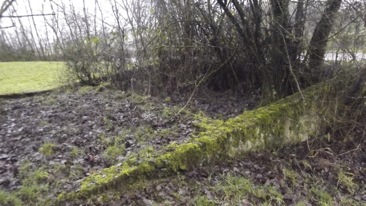 Ligne Maginot - MONTLIBERT - (Stand de tir) - Fondations d'un petit bâtiment attenant à la zone de tir.
