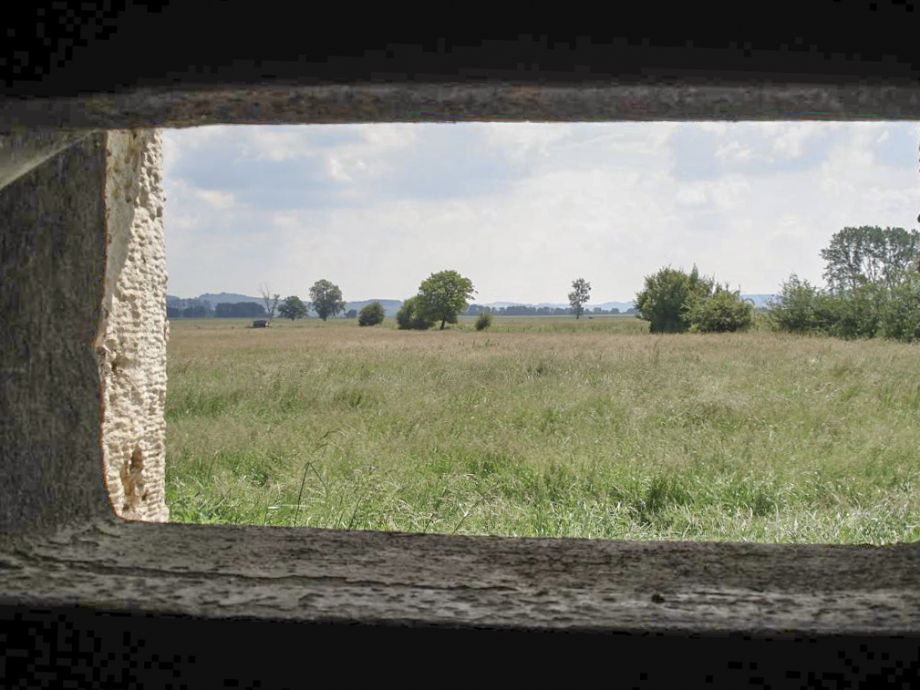 Ligne Maginot - A103 - LE BOCHET - (Blockhaus lourd type STG / STG-FCR - Double) - Vue vers l'est