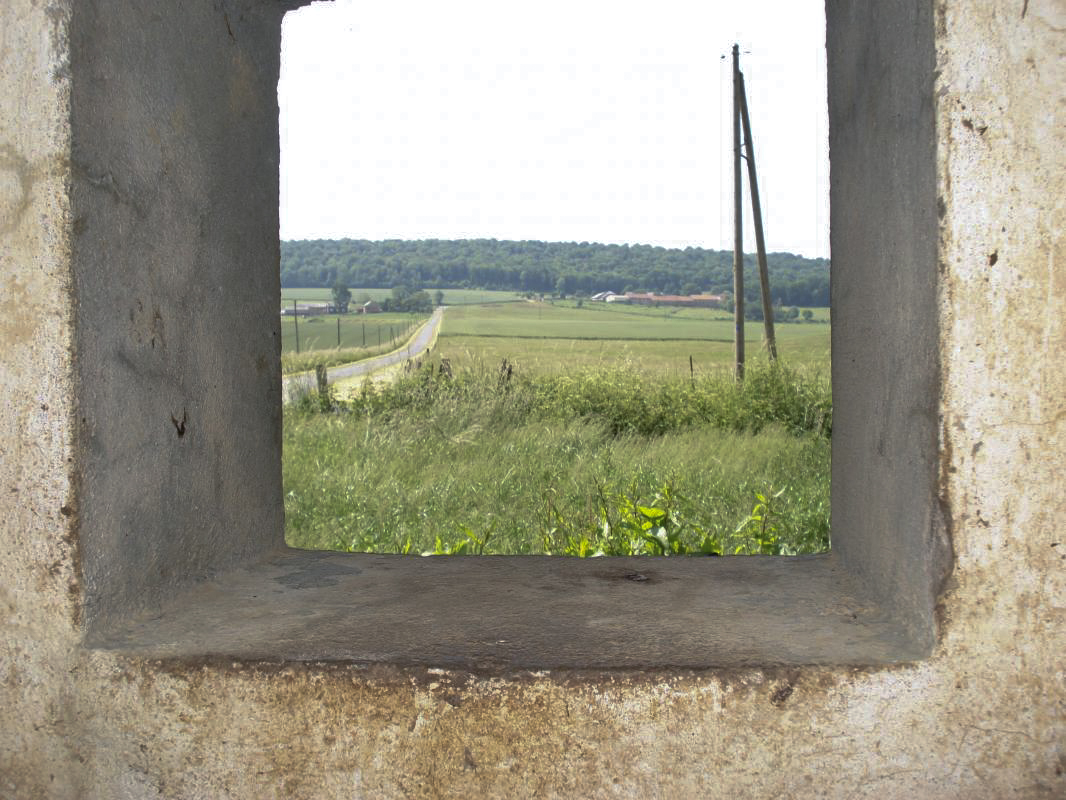 Ligne Maginot - A103 - LE BOCHET - (Blockhaus lourd type STG / STG-FCR - Double) - Vue vers le sud
