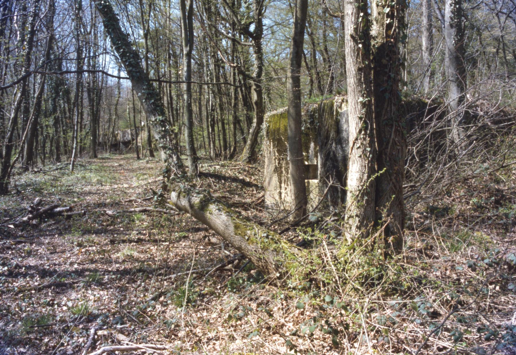 Ligne Maginot - BAMBESCH SUD 1 - (Blockhaus pour arme infanterie) -  - MANSUY Michel