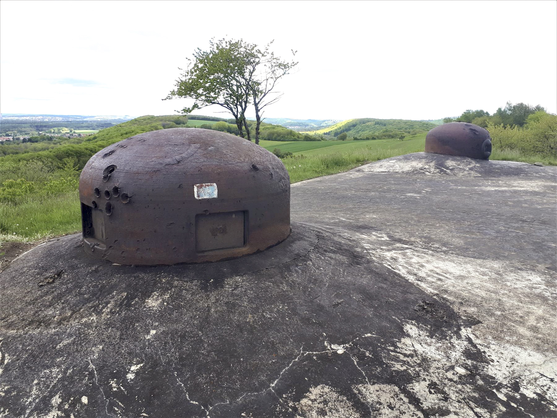 Ligne Maginot - EINSELING NORD - C72 - (Casemate d'infanterie) - Au printemps...
A gauche cloche GFM type A, à droite cloche GFM modifiée en type B