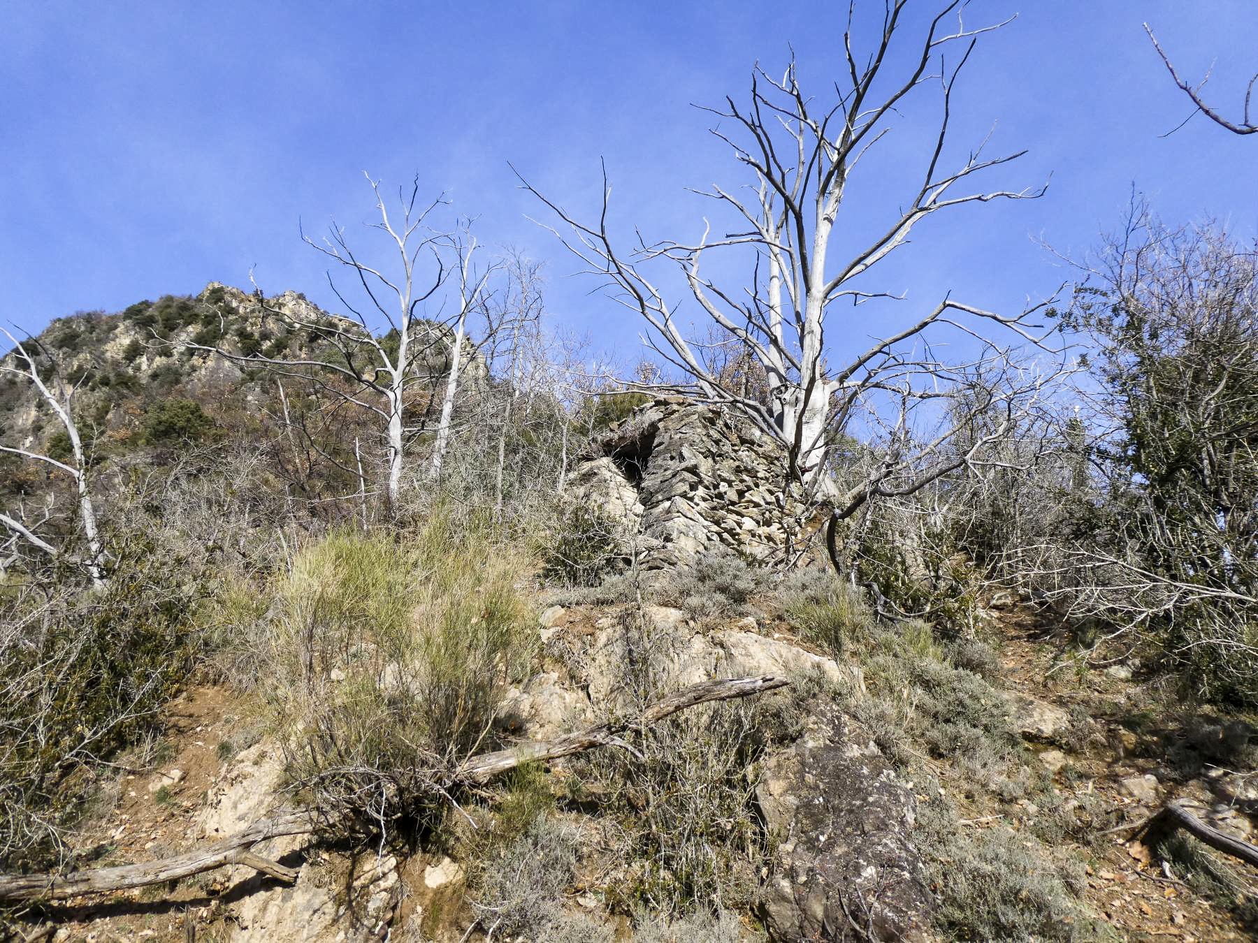Ligne Maginot - LE COLLET 1 - (Blockhaus de type indéterminé) -  - ELLENA Daniel - CUNY Philippe