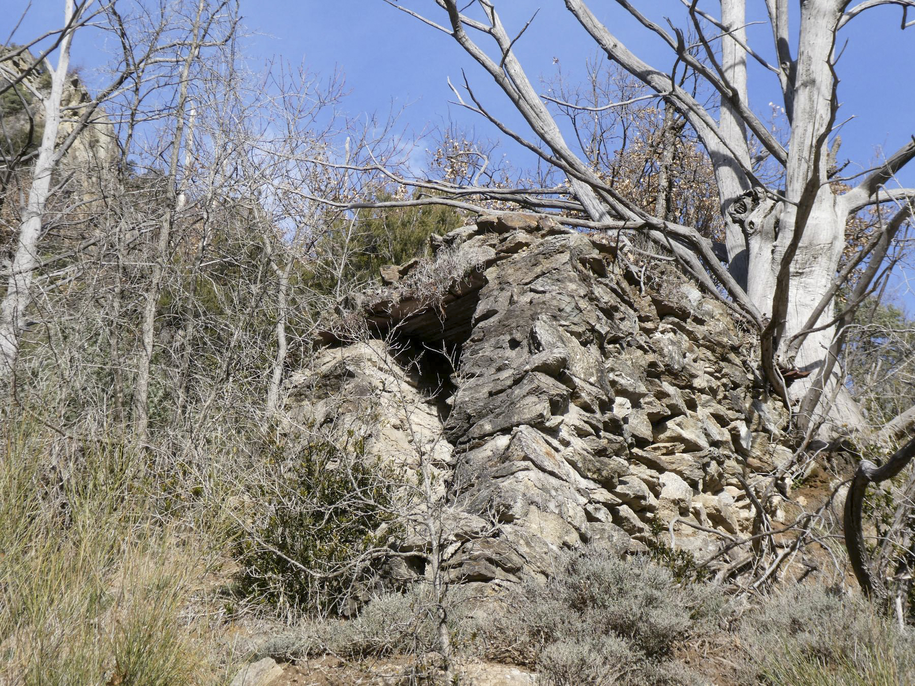 Ligne Maginot - LE COLLET 1 - (Blockhaus de type indéterminé) -  - ELLENA Daniel - CUNY Philippe