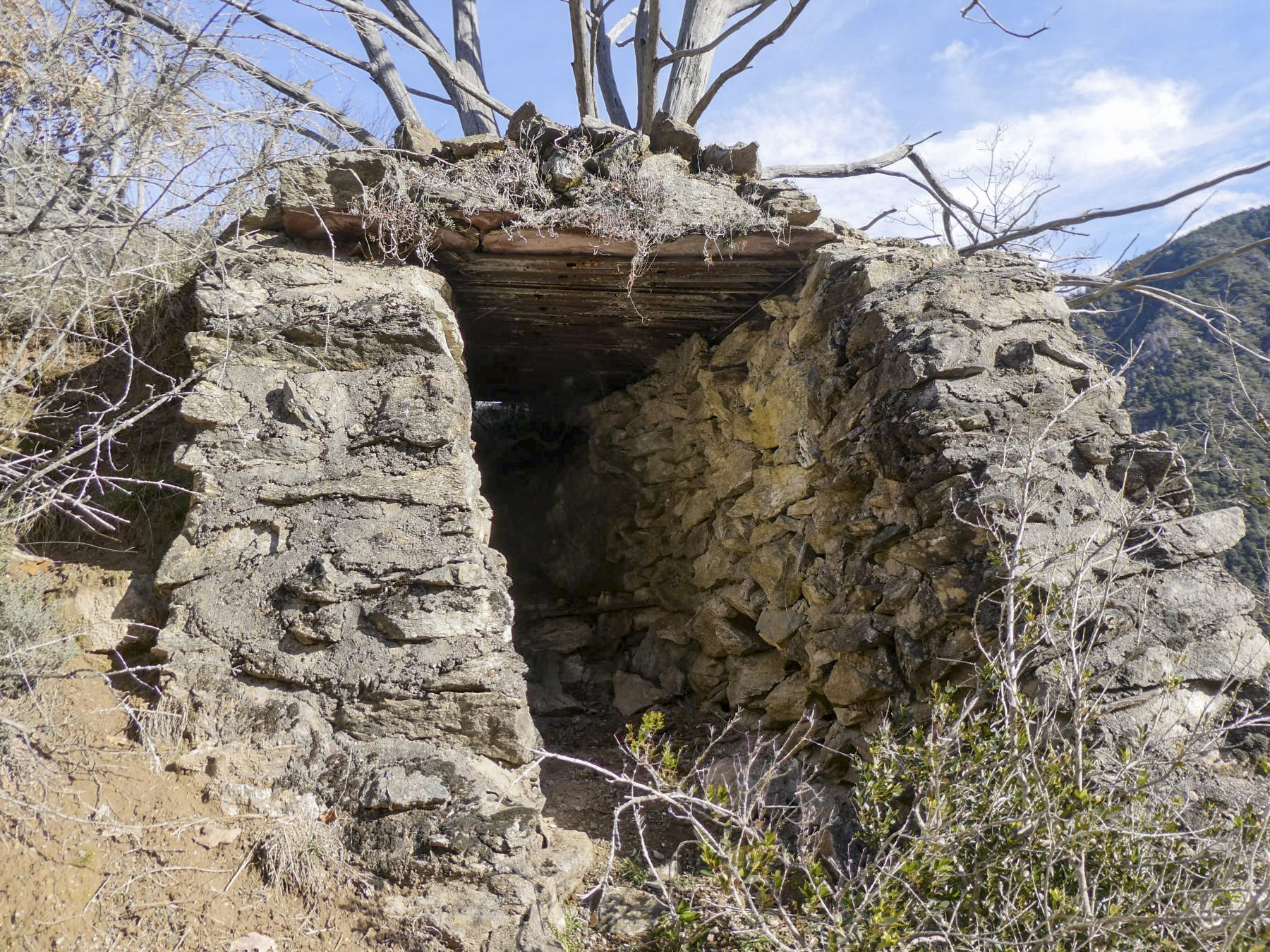 Ligne Maginot - LE COLLET 1 - (Blockhaus de type indéterminé) -  - ELLENA Daniel - CUNY Philippe