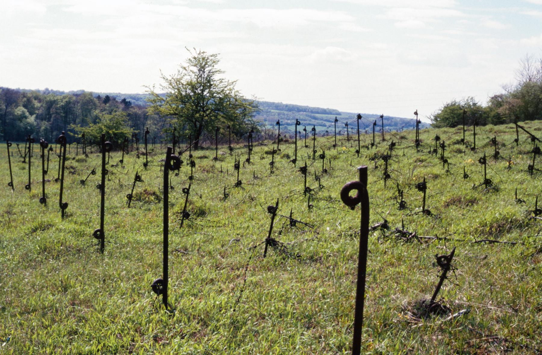 Ligne Maginot - EINSELING SUD - C73 - (Casemate d'infanterie - Simple) - Réseau de barbelés - MANSUY Michel