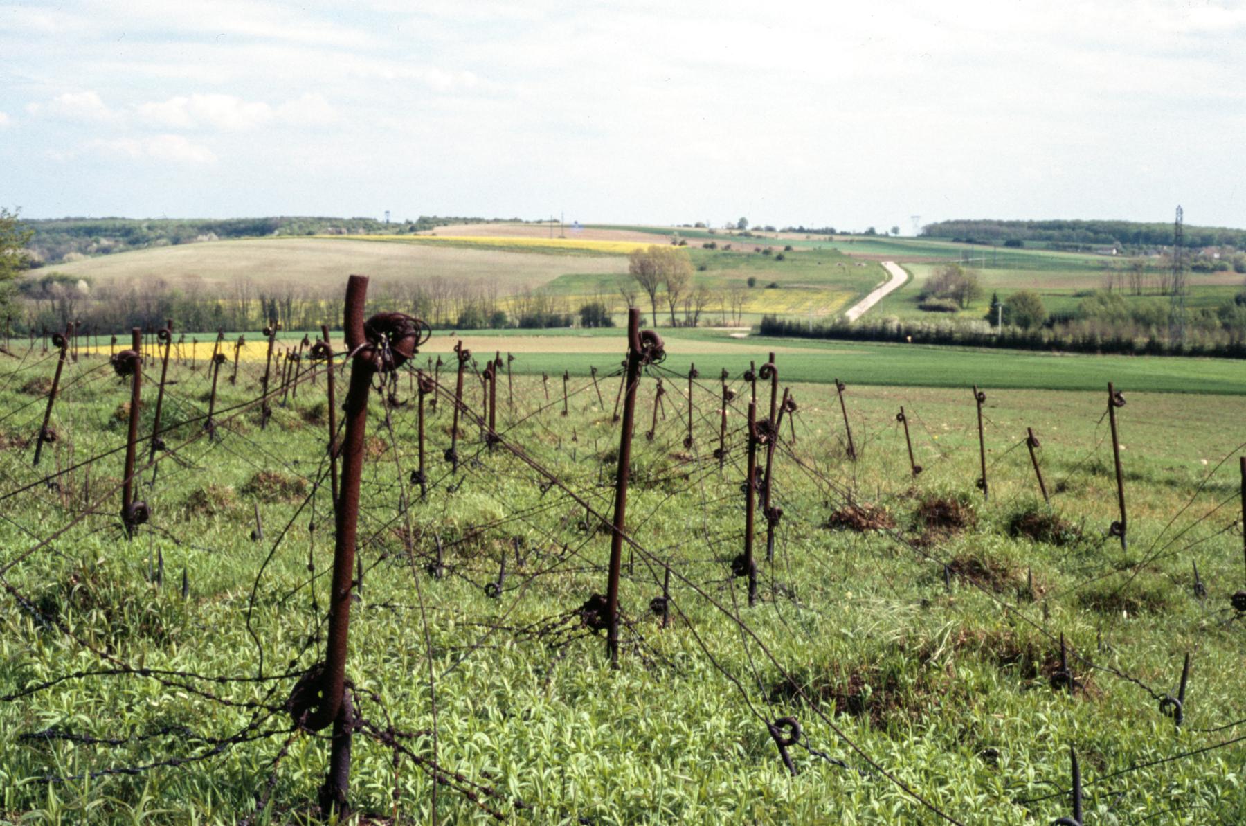 Ligne Maginot - EINSELING SUD - C73 - (Casemate d'infanterie - Simple) - Réseau de barbelés - MANSUY Michel
